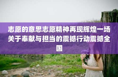 志愿的意思志愿精神再现辉煌一场关于奉献与担当的震撼行动震撼全国