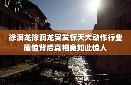 徐润龙徐润龙突发惊天大动作行业震惊背后真相竟如此惊人