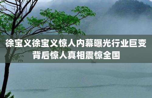 徐宝义徐宝义惊人内幕曝光行业巨变背后惊人真相震惊全国