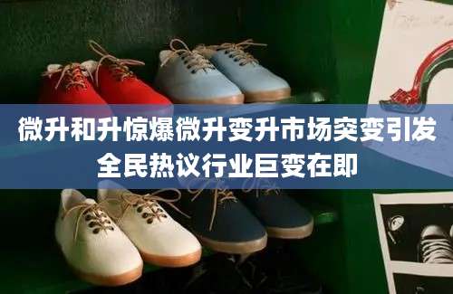 微升和升惊爆微升变升市场突变引发全民热议行业巨变在即