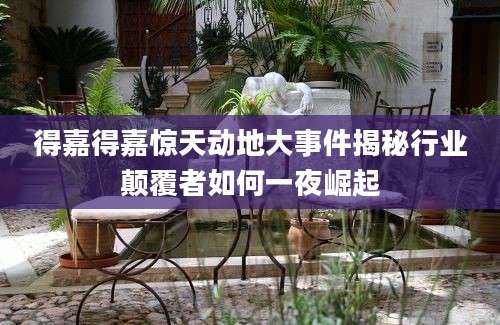 得嘉得嘉惊天动地大事件揭秘行业颠覆者如何一夜崛起
