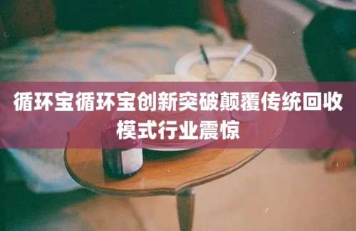 循环宝循环宝创新突破颠覆传统回收模式行业震惊