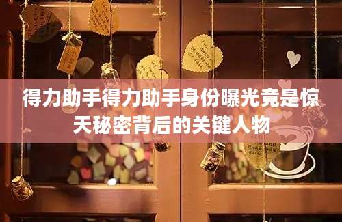 得力助手得力助手身份曝光竟是惊天秘密背后的关键人物