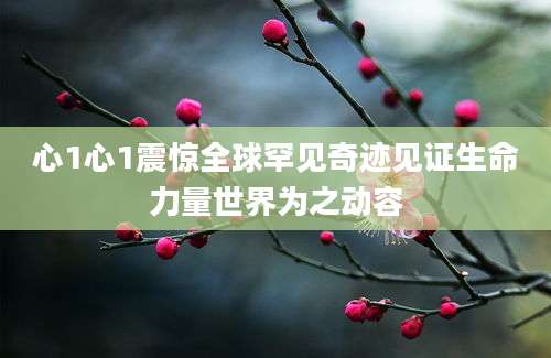 心1心1震惊全球罕见奇迹见证生命力量世界为之动容