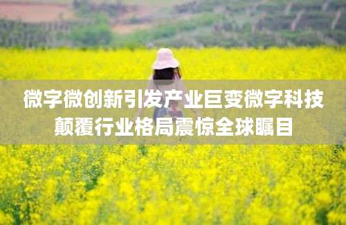 微字微创新引发产业巨变微字科技颠覆行业格局震惊全球瞩目