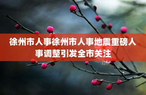 徐州市人事徐州市人事地震重磅人事调整引发全市关注