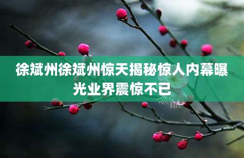 徐斌州徐斌州惊天揭秘惊人内幕曝光业界震惊不已