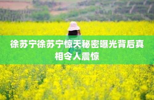 徐苏宁徐苏宁惊天秘密曝光背后真相令人震惊