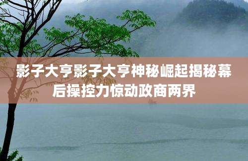 影子大亨影子大亨神秘崛起揭秘幕后操控力惊动政商两界