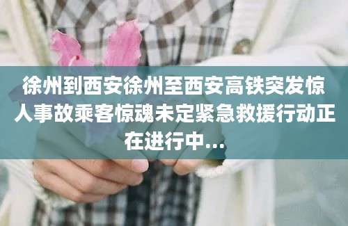 徐州到西安徐州至西安高铁突发惊人事故乘客惊魂未定紧急救援行动正在进行中...