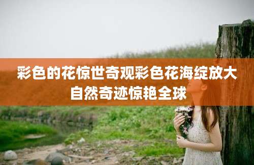 彩色的花惊世奇观彩色花海绽放大自然奇迹惊艳全球