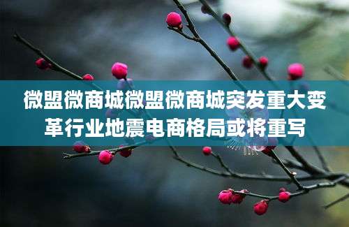 微盟微商城微盟微商城突发重大变革行业地震电商格局或将重写