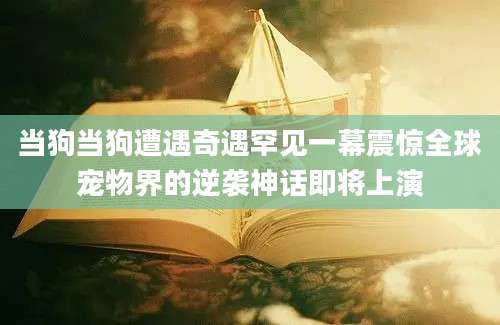 当狗当狗遭遇奇遇罕见一幕震惊全球宠物界的逆袭神话即将上演