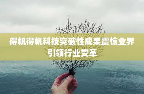 得帆得帆科技突破性成果震惊业界引领行业变革