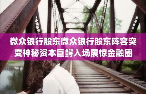 微众银行股东微众银行股东阵容突变神秘资本巨鳄入场震惊金融圈