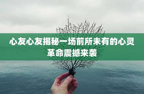 心友心友揭秘一场前所未有的心灵革命震撼来袭