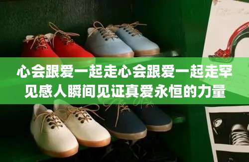 心会跟爱一起走心会跟爱一起走罕见感人瞬间见证真爱永恒的力量