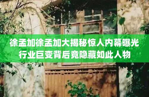 徐孟加徐孟加大揭秘惊人内幕曝光行业巨变背后竟隐藏如此人物