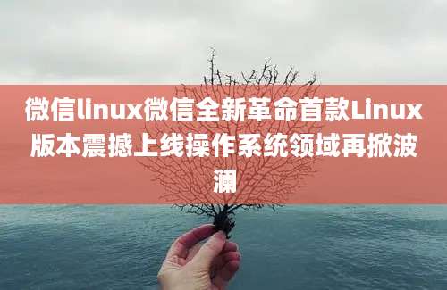 微信linux微信全新革命首款Linux版本震撼上线操作系统领域再掀波澜