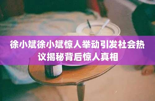 徐小斌徐小斌惊人举动引发社会热议揭秘背后惊人真相