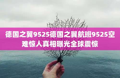 德国之翼9525德国之翼航班9525空难惊人真相曝光全球震惊
