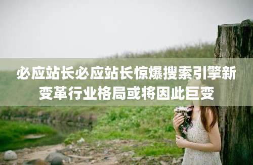 必应站长必应站长惊爆搜索引擎新变革行业格局或将因此巨变