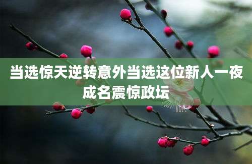 当选惊天逆转意外当选这位新人一夜成名震惊政坛