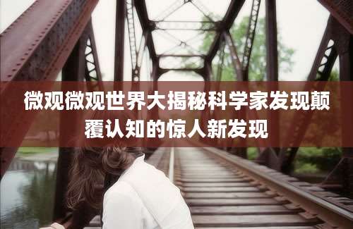 微观微观世界大揭秘科学家发现颠覆认知的惊人新发现