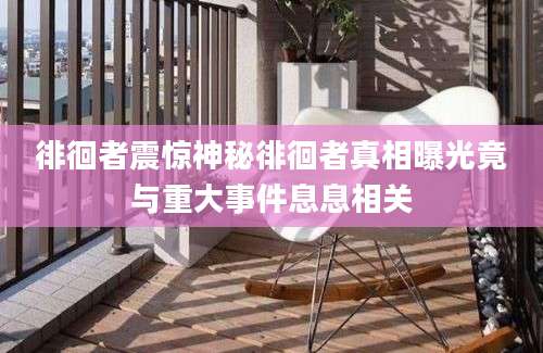 徘徊者震惊神秘徘徊者真相曝光竟与重大事件息息相关