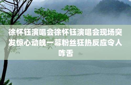 徐怀钰演唱会徐怀钰演唱会现场突发惊心动魄一幕粉丝狂热反应令人咋舌