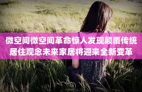 微空间微空间革命惊人发现颠覆传统居住观念未来家居将迎来全新变革