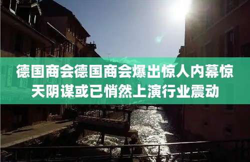 德国商会德国商会爆出惊人内幕惊天阴谋或已悄然上演行业震动