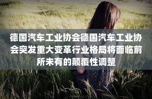 德国汽车工业协会德国汽车工业协会突发重大变革行业格局将面临前所未有的颠覆性调整