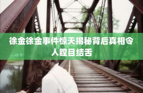 徐金徐金事件惊天揭秘背后真相令人瞠目结舌