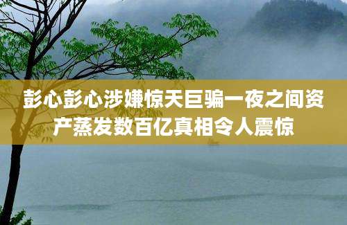 彭心彭心涉嫌惊天巨骗一夜之间资产蒸发数百亿真相令人震惊
