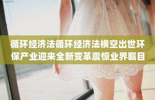 循环经济法循环经济法横空出世环保产业迎来全新变革震惊业界瞩目