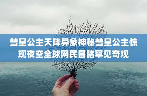 彗星公主天降异象神秘彗星公主惊现夜空全球网民目睹罕见奇观