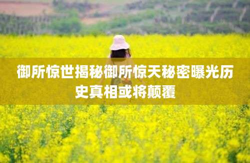 御所惊世揭秘御所惊天秘密曝光历史真相或将颠覆