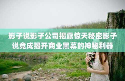 影子说影子公司揭露惊天秘密影子说竟成揭开商业黑幕的神秘利器