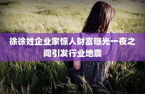 徐徐姓企业家惊人财富曝光一夜之间引发行业地震