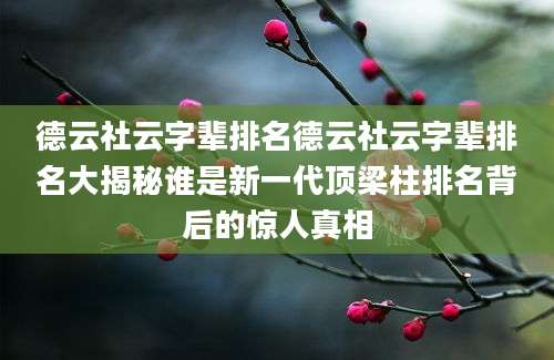 德云社云字辈排名德云社云字辈排名大揭秘谁是新一代顶梁柱排名背后的惊人真相