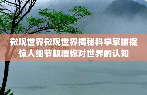 微观世界微观世界揭秘科学家捕捉惊人细节颠覆你对世界的认知