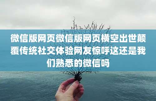 微信版网页微信版网页横空出世颠覆传统社交体验网友惊呼这还是我们熟悉的微信吗