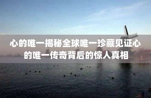 心的唯一揭秘全球唯一珍藏见证心的唯一传奇背后的惊人真相