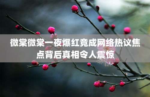 微棠微棠一夜爆红竟成网络热议焦点背后真相令人震惊
