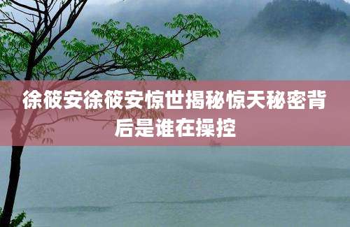 徐筱安徐筱安惊世揭秘惊天秘密背后是谁在操控