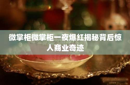 微掌柜微掌柜一夜爆红揭秘背后惊人商业奇迹