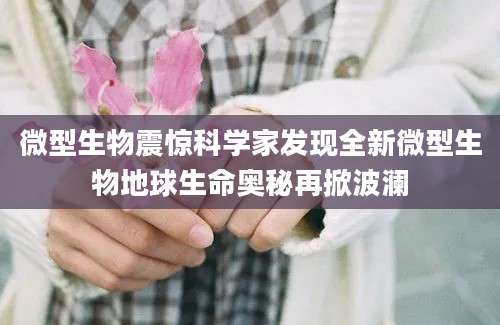 微型生物震惊科学家发现全新微型生物地球生命奥秘再掀波澜