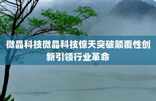 微晶科技微晶科技惊天突破颠覆性创新引领行业革命