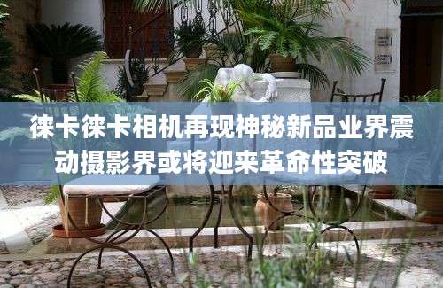 徕卡徕卡相机再现神秘新品业界震动摄影界或将迎来革命性突破
